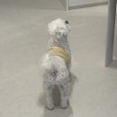 (주)창억 유스퀘어점 | 난 마이데이도 아닌데 왜 이러고 있지