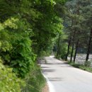 흥정계곡 솔내음펜션 이미지