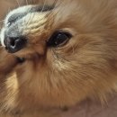 그대 안에그대 | 저도 그 안에 있습니까? 그대는 아닌가?