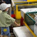 배다리어린이집 이미지