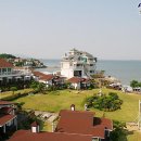 안면도발리 이미지