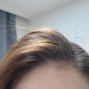 다이소앞 이미지