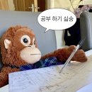 인쌩맥주 인천논현점 | 약간의 일상과 아이폰 17 일반 후기