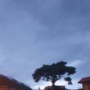 곡성군죽곡면보건지소 | 곡성 대황강 출렁다리 드라이브와 카페 수다라 여행 후기