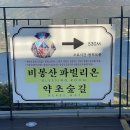 모노모멘트 이미지