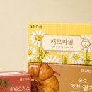 대한의백 네이버블로그