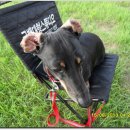 압독생활체육공원 이미지