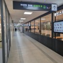 [ 난소기형종, 자궁내막증 수술 후기 ] (1)