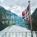 피오르드 | 7월 여름 노르웨이 여행 🇳🇴 송네 피오르드 구드방겐 페리 후기 (구드방겐->플롬 구간 편도) ⛴️