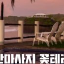 앤썸테라피