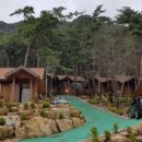 화왕산자연휴양림(창녕) 이미지