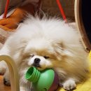 J@야니스타일 이미지