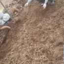 나포농장 이미지