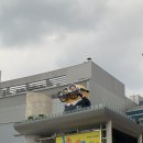 박대리몰