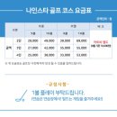 나인스타 네이버블로그