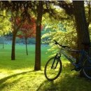 베스트아이 이미지