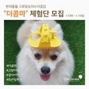 봄, 그루밍 이미지