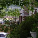 애견호텔 나무야 이미지