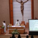 주영일 Daum카페