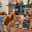 빈 하루 이미지