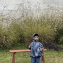 무주시크릿 | 대전 근교 전북 무주 펜션 서림연가 내돈내산 아이랑 다녀온 숙박후기 L1/ 독채 감성숙소추천 가족여행...