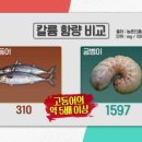 영농조합법인 더듬이 이미지