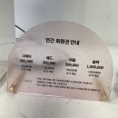 리오나뷰티