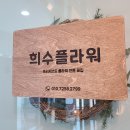 [11/07] 프리저브드 플라워 하바리움 - 원데이 클래스 | 마곡꽃집 프리저브드플라워 원데이클래스후기 희수플라워