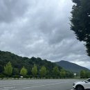 옥산리 매표소 네이버블로그