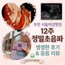 부천종합가스 | 부천 서울여성병원 12주 정밀초음파 후기｜목투명대·코뼈 검사부터 기형아검사까지 총정리