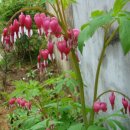 밥풀떼기 이미지