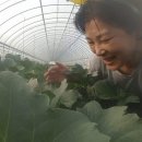 이기순농장 이미지