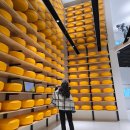 테마레스토랑 | 임실치즈테마파크 식당 프로마쥬 레스토랑 내돈내산 솔직 후기