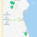 노랑산하오징어 이미지