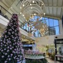 통진푸른유치원 | 김포 통진 브런치 카페드첼시(내돈내산후기)