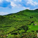 온라인 바캉스축제 이미지