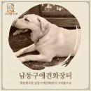 나를품개 이미지