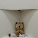 부천 상동 소요요가 힐링 빈야사 수련 후기