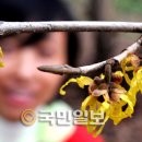 관악구종합청사 이미지