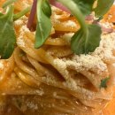 보리토리 이미지