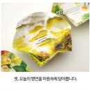 테일즈힐 | HILLCART TALES 힐카트테일즈 인도차선물세트 시그니처 패키지 선물 받은 후기