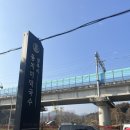 정족리동치미막국수 | [춘천] 정족리 동치미막국수 - 태어나서 처음 먹어 본 들기름 막국수에 완전 반한 후기