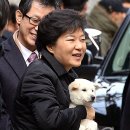 [사진] 박근혜대통령, 선물받은 강아지 두마리 이름을 지었어요~~!!ㅎㅎㅎ 이미지