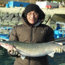 어구마을 이미지