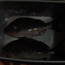 자장자장민박 이미지