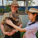 쓰담쓰담 동물병원 | 아이랑 호주 시드니 해외여행 동물먹이주기체험 오크베일 동물원