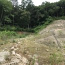 단석보건진료소 이미지