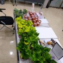 플랜팅아트