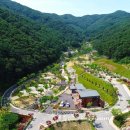 자연-이미지 이미지