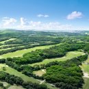 우림필유 이미지